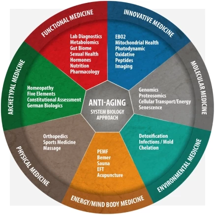 图形全系统方法