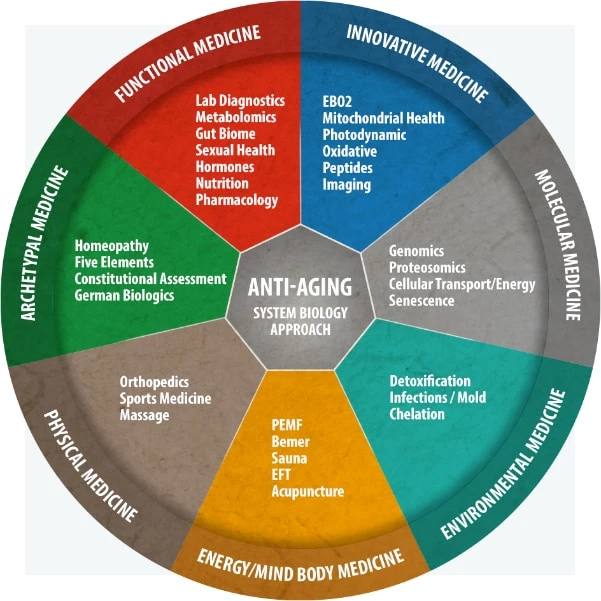 图形全系统方法